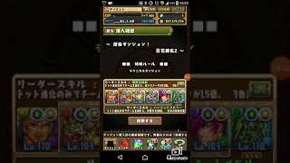 【パズドラ】探索ダンジョン期間が伸びたので百花繚乱2の自分なりの周回編成を出してみた