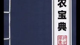 100级农场要修仙？神农宝典即将上线 两眼一睁就是元梦农场 元梦之星 游戏内容风向标 元梦之星星语星愿赛季