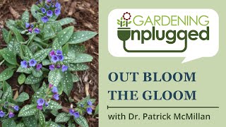 Gardening Unplugged - Out Bloom the Gloom with Dr. Patrick McMillan