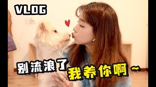 Vlog｜领养了人生第一只属于自己的狗狗｜nagi的日常