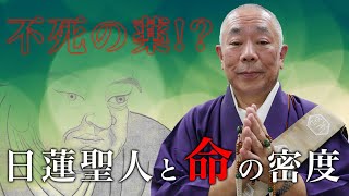 佛立本旨講妙應寺　〜日蓮聖人と命の密度〜