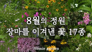 8월 여름 장마를 이겨낸 생존력 최강 꽃 17종 | 여름 정원 가꾸기 | 자연발아 번식력 최고 야생화