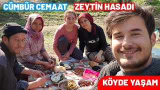 KÖYDE MÜTHİŞ BİR GÜN ✅ EKİP SAĞLAM HERKES VAR 😊 Zeytin Hasadı 2023 | Öğlen Yemeği | Günlük Vlog