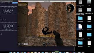 Memory exploration with Frida - ESP hack Assault Cube