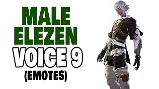 [FFXIV] Male Elezen Voice 9 (Emotes)