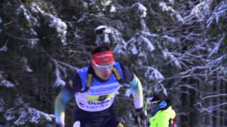 IBU OECH Otepää 2015 Men Relay