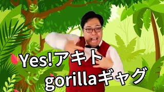 【芸人の英語力】だいぶ英語にも慣れてきたYes!アキトがゴリラのギャグを披露してくれました♪