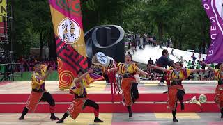 柳苑謳歌　2018YOSAKOIソーラン祭り6/9(土)　メイン会場