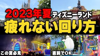 【攻略】夏ディズニー疲れず大満喫するプランを紹介｜アトラクション、ショーパレ、グリーティング、レストラン満遍なく過ごす