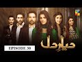 Diyar e Dil Episode 30 HUM TV Drama