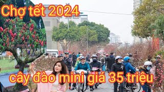 chợ tết hà nội năm 2024-chợ hoa Hồ tây cây đào nhỏ cũng có giá 35 triệu