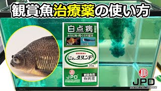 【魚病薬の使い方】観賞魚用治療薬「ニューグリーンF」