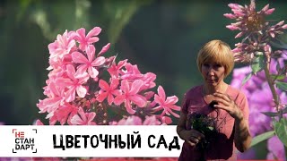 Цветочный сад // Нестандарт / Серия 6