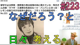 留学中止は事実・国家権力者は護身の為に備えている・有吉さんの猫・ウサギ・三浦家の名前のルーツ・パンパンと空っぽ・レモンの振り付けは菅原小春さん・７月１５日の撮影場所・ご相続のお話　No.223