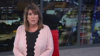 Bay County Sheriff’s Office releases new app
