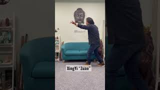 XingYiQuan Zuan