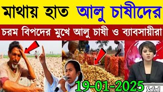 আজকের আলুর বাজার মূল্য/india potato news West bangal/Potato price today west bengal