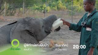 ช่องสารคดี | Highlight ช่อง 55 สำรวจโลก วันที่ 1-6 มิถุนายน 2564 เวลา 2 ทุ่มตรง ที่ Good TV