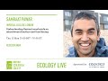 Ecology Live 2021 with Samraat Pawar - Thermal constraints on microbiome structure and functioning