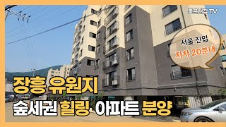 [매물NO.234] 장흥유원지 숲세권 힐링아파트 분양!! 장흥 신축빌라 소개~