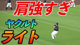 ヤクルトのライトが強肩過ぎる！雄平選手、上田選手の弾丸送球！