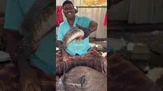 Viral fish cutting video/Fishcuttingrs #fishcuttingrs #kasimedu #fish