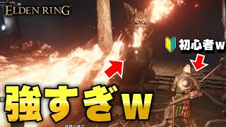 【絶望】死にゲー初心者にとっては最強ボス「還樹の番犬」と戦った結果…【エルデンリング日記8日目】【嵐の麓の地下墓攻略】