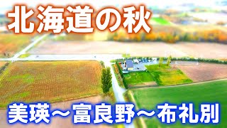 4K 北海道の秋 美瑛～富良野～布礼別