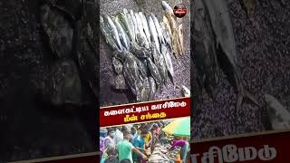 களைகட்டிய காசிமேடு மீன் சந்தை | #shorts