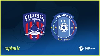 2024 NPLMVIC Round 26: Port Melbourne Sharks SC v Avondale FC