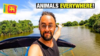 Best Day trip in COLOMBO, Sri Lanka! - Exploring the wetlands