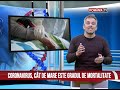 doctor mit iti spune adevarul despre coronavirus