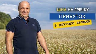 Гречка, як отримати прибуток з другого врожаю. Ціни, врожайність, особливості вирощування гречки.