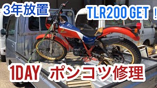 Part1 3年放置のバイクTLR200 貰ってきて速攻復活‼︎