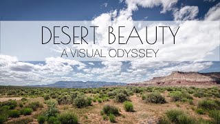 Desert Beauty: Timelapse \u0026 HD Drone Compilation || Wanderland Travelers