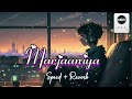 marjaaneya speed reverb varun jain vicky vidya ka woh wala video 🥀music_3412 song lofi love