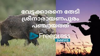 കാട്ടുപന്നിയുടെ ശല്യം രൂക്ഷം; വേട്ടക്കാരനെ നിയോഗിക്കാൻ പഞ്ചായത്ത് തീരുമാനം