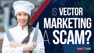 Is Vector Marketing A Scam? - Vector Marketing 2021 - What Is Vector Marketing?