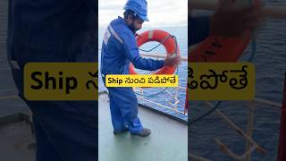 Ship నుంచి పడిపోతే ఏంటి పరిస్ధితి?#sikkoluseaman #sealife #youtubeshorts #telugu #merchantnavy