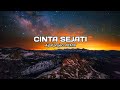 DJ Cinta Sejati || ( Aipal project REMIX )