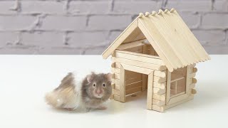 How to Make Popsicle Stick House for your Hamster | DIY Pet House