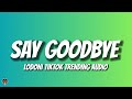 Lodoni - Say Goodbye (Trending Audio)
