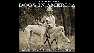 An AKC Gazette Gallery: Dogs in America - Images from the Library of Congress