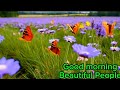 Rewined Music - GOOD MORNING BEAUTIFUL PEOPLE  (official video)