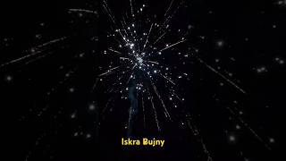 Iskra bujny 50mm Single shot #fireworks #pyro #feuerwerk #like #pyrotechnik #silvester #fyp #single