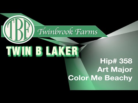 H358 Twin B Laker Twinbrook BBook2016 - YouTube