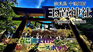 【玉置神社】4K 太古の森に囲まれた最強パワースポット