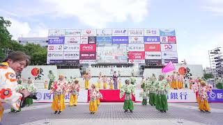 [4K] 学校法人やまもも学園桜井幼稚園　高知よさこい祭り 2023 本祭2日目