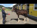 grandame japan優勝馬のふるさと／明治牧場（ジュエルクイーン号）