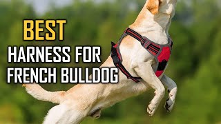 Top 5 Best Harness for French Bulldogs Review in 2023 | Small/Medium/Large/Extra Large Dogs Harness